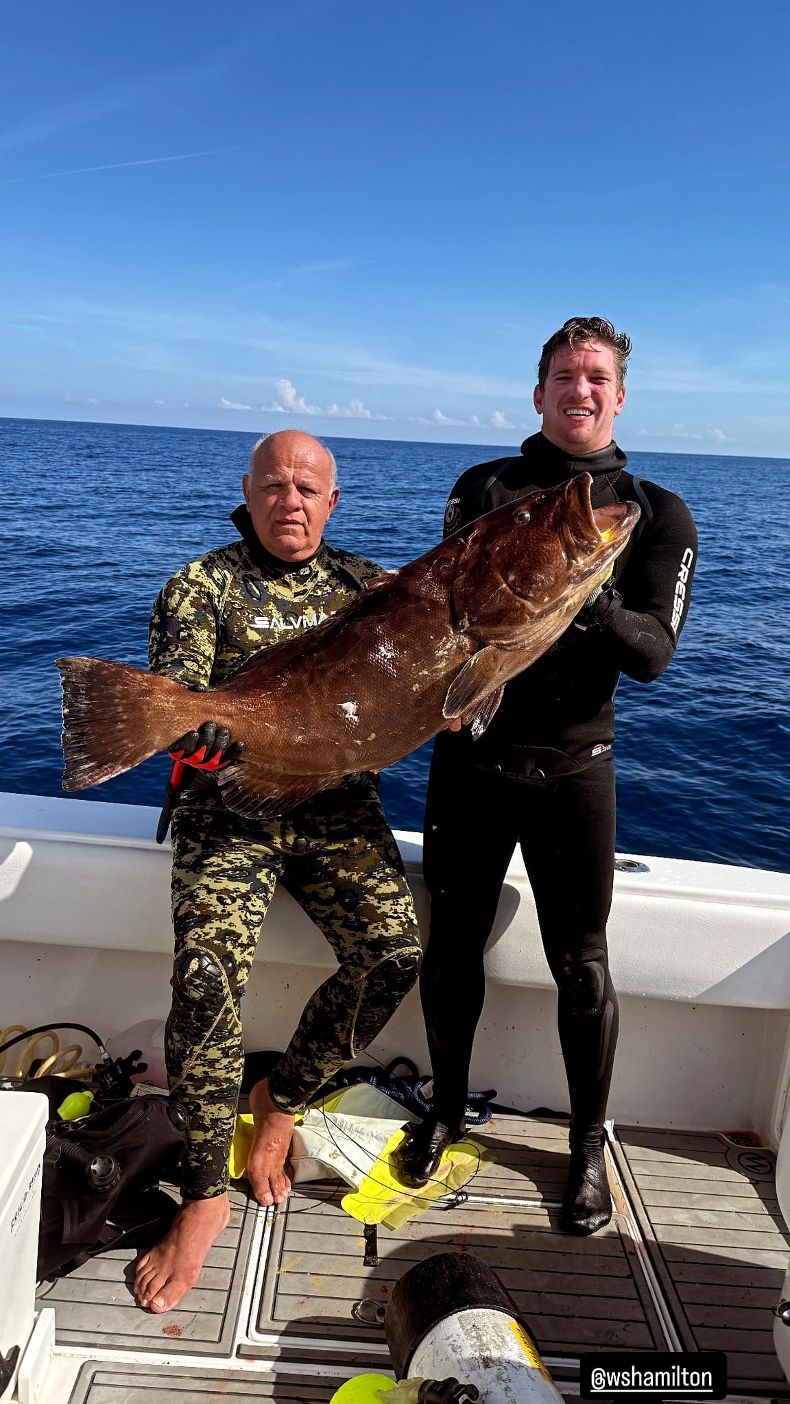 A black grouper at the dock after a night trip