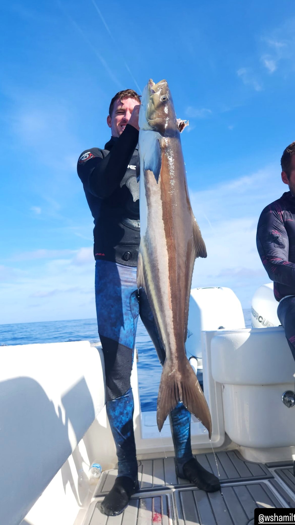 A long cobia brought over the rail